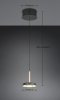 Lampa wisząca LED okrągła designerska nowoczesna ściemnialna GUANO 334410165 Trio